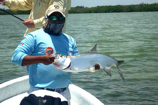 Tarpon Campeche Fly Fishing Lodge Mexico